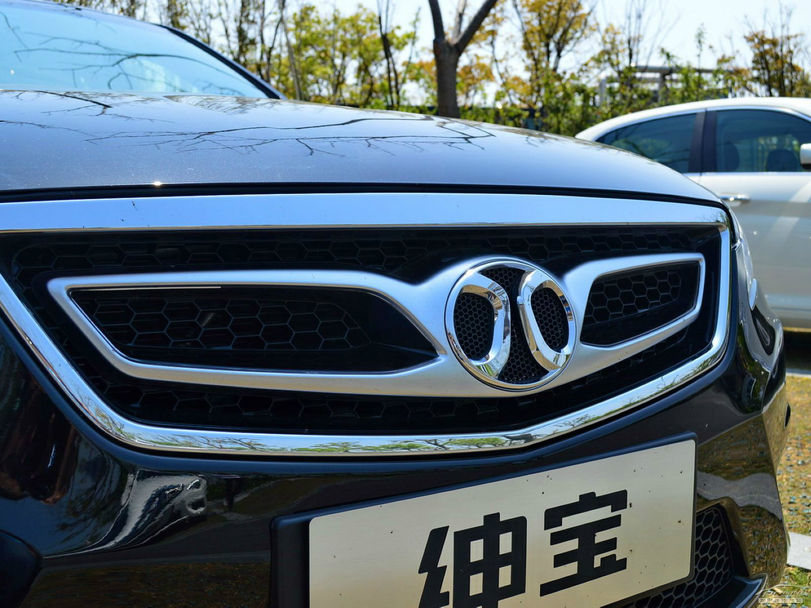 紳寶D70外觀高清大圖