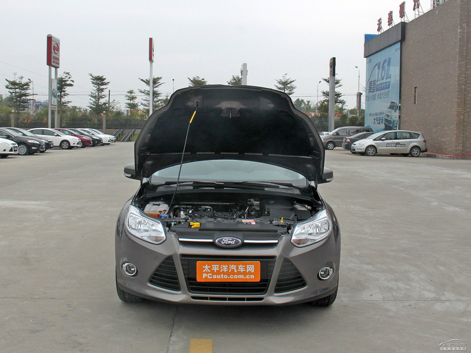 福克斯細節(jié)高清大圖