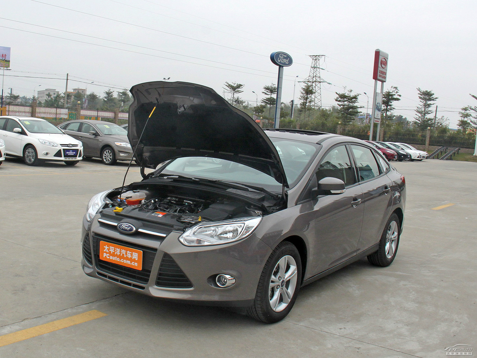 ?？怂辜毠?jié)高清大圖