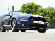 2013 GT500 
