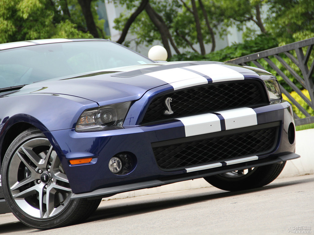 ʯ{Mustang܇^^DƬ