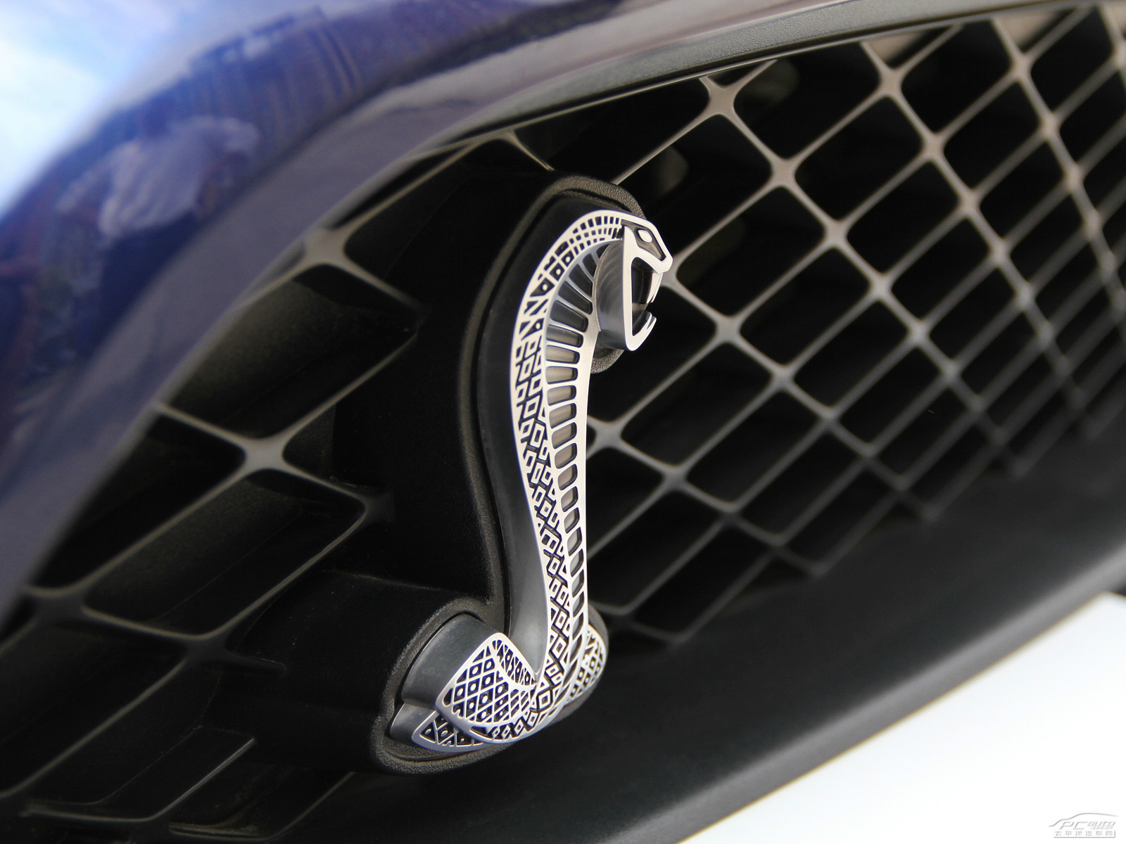 福特Mustang外觀高清大圖