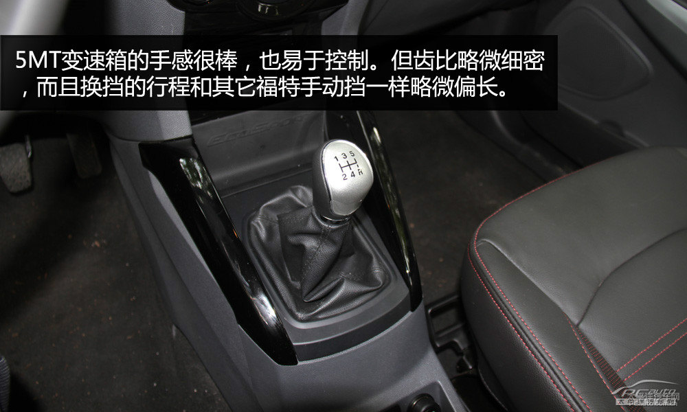 翼搏圖片