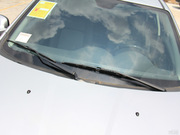 2013款 1.6L MT 尊貴型