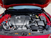 2013 2.0L (bio)(zhn)