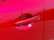 2013 2.0L (bio)(zhn)