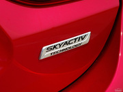 2013 2.0L (bio)(zhn)