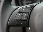 2013 2.0L (bio)(zhn)