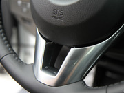 2013 2.0L (bio)(zhn)