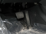 2013 2.0L (bio)(zhn)