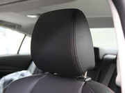 2013 2.0L (bio)(zhn)