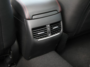 2013 2.0L (bio)(zhn)