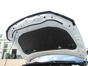 2013 2.0L (bio)(zhn)