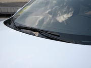 2013 2.0L (bio)(zhn)