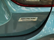 2013 2.0L (bio)(zhn)