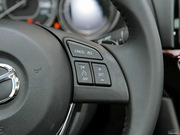 2013 2.0L (bio)(zhn)