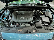 2013 2.0L (bio)(zhn)