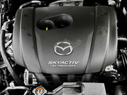 2013 2.0L (bio)(zhn)