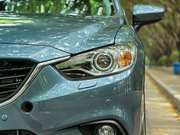 2013 2.0L (bio)(zhn)