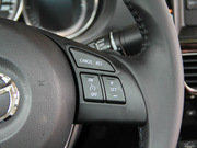 2013 2.0L (bio)(zhn)