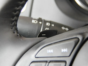 2013 2.0L (bio)(zhn)