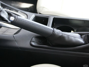 2013 2.0L (bio)(zhn)