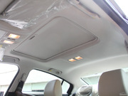 2013 2.0L (bio)(zhn)