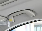 2013 2.0L (bio)(zhn)