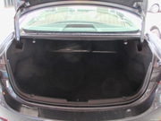 2013 2.0L (bio)(zhn)