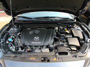 2013 2.0L (bio)(zhn)