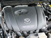 2013 2.0L (bio)(zhn)