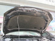 2013 2.0L (bio)(zhn)