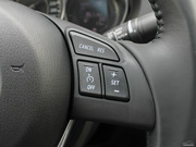 2013 2.0L (bio)(zhn)