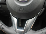 2013 2.0L (bio)(zhn)