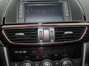 2013 2.0L (bio)(zhn)