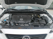 2013 2.0L (bio)(zhn)