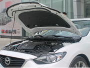 2013 2.0L (bio)(zhn)