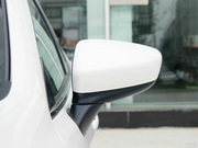 2013 2.0L (bio)(zhn)