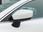 2013 2.0L (bio)(zhn)