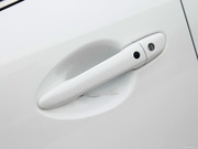 2013 2.0L (bio)(zhn)