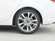 2013 2.0L (bio)(zhn)