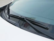 2013 2.0L (bio)(zhn)