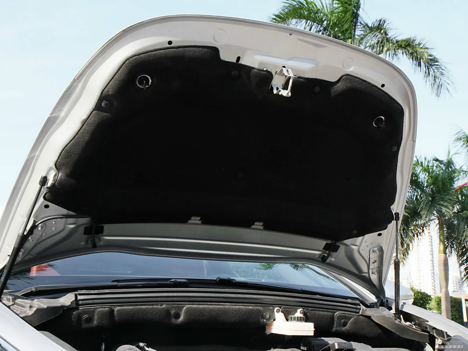 DS 5(進(jìn)口)細(xì)節(jié)高清大圖