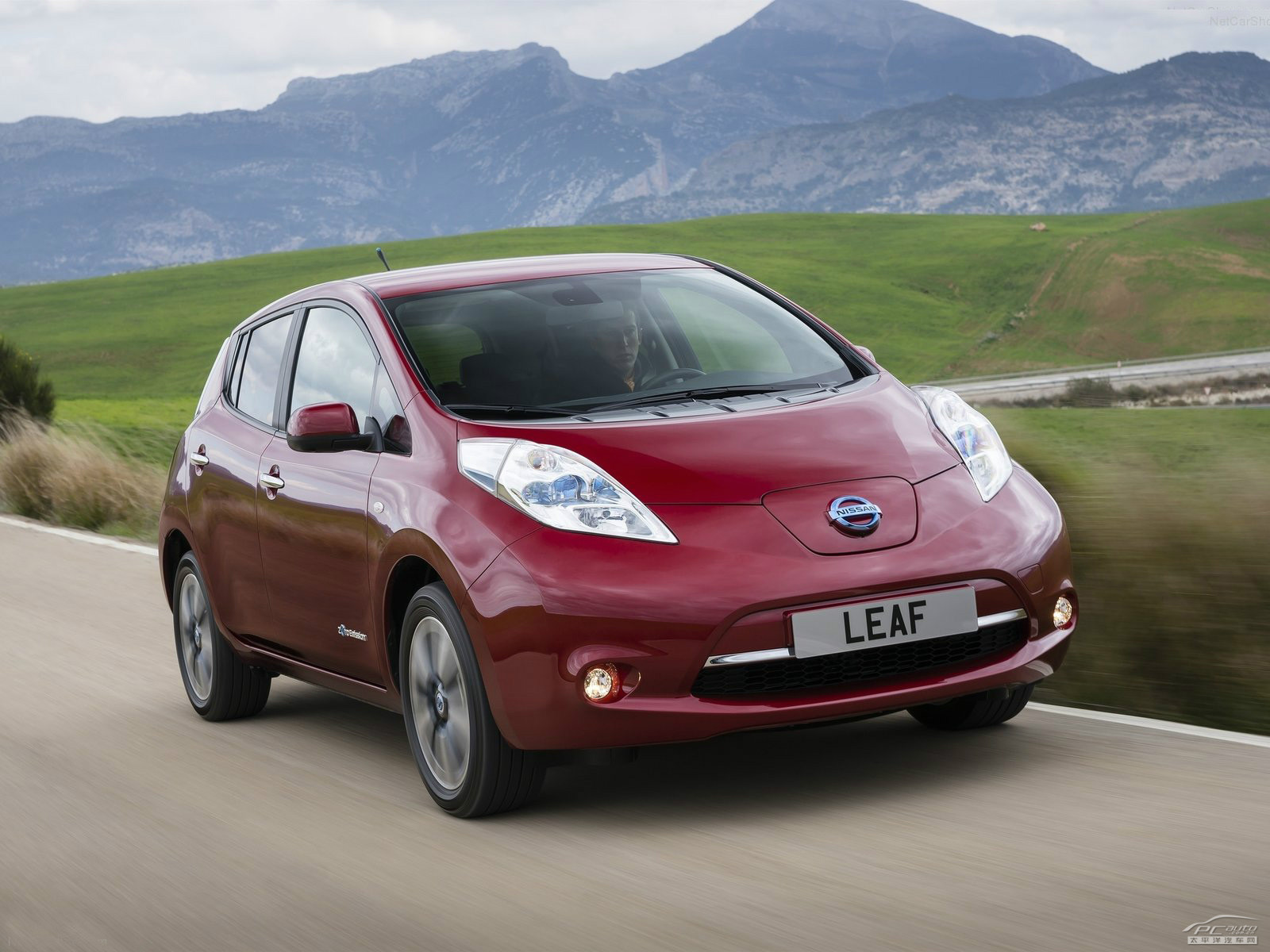 聆風(fēng)Leaf外觀高清大圖