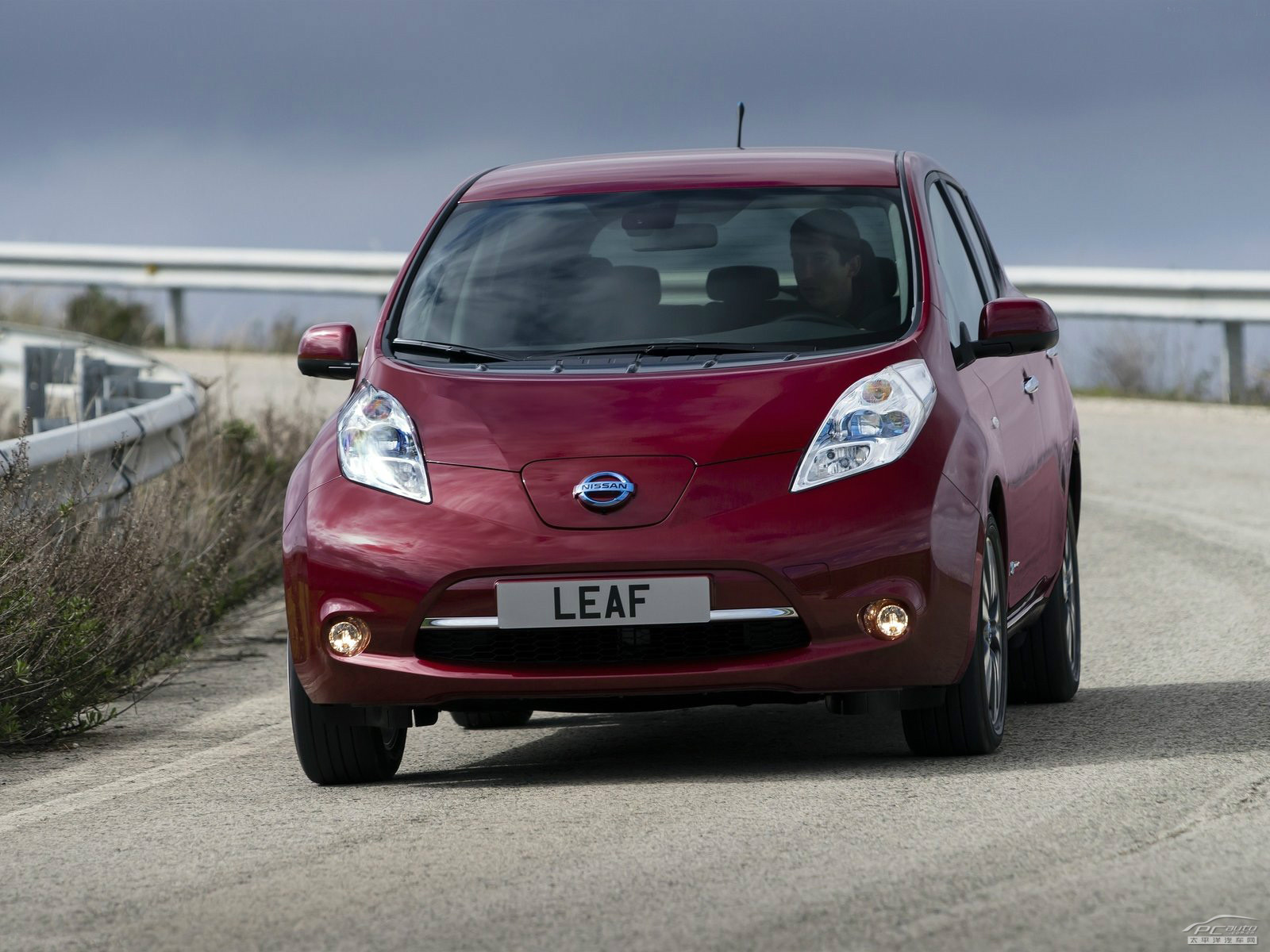 聆風(fēng)Leaf外觀高清大圖