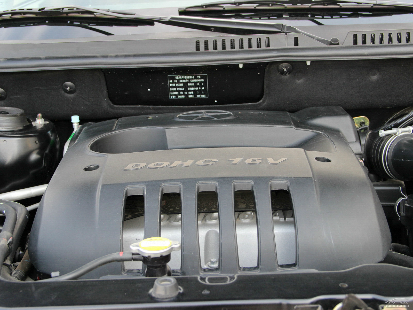 瑞鷹細節(jié)高清大圖