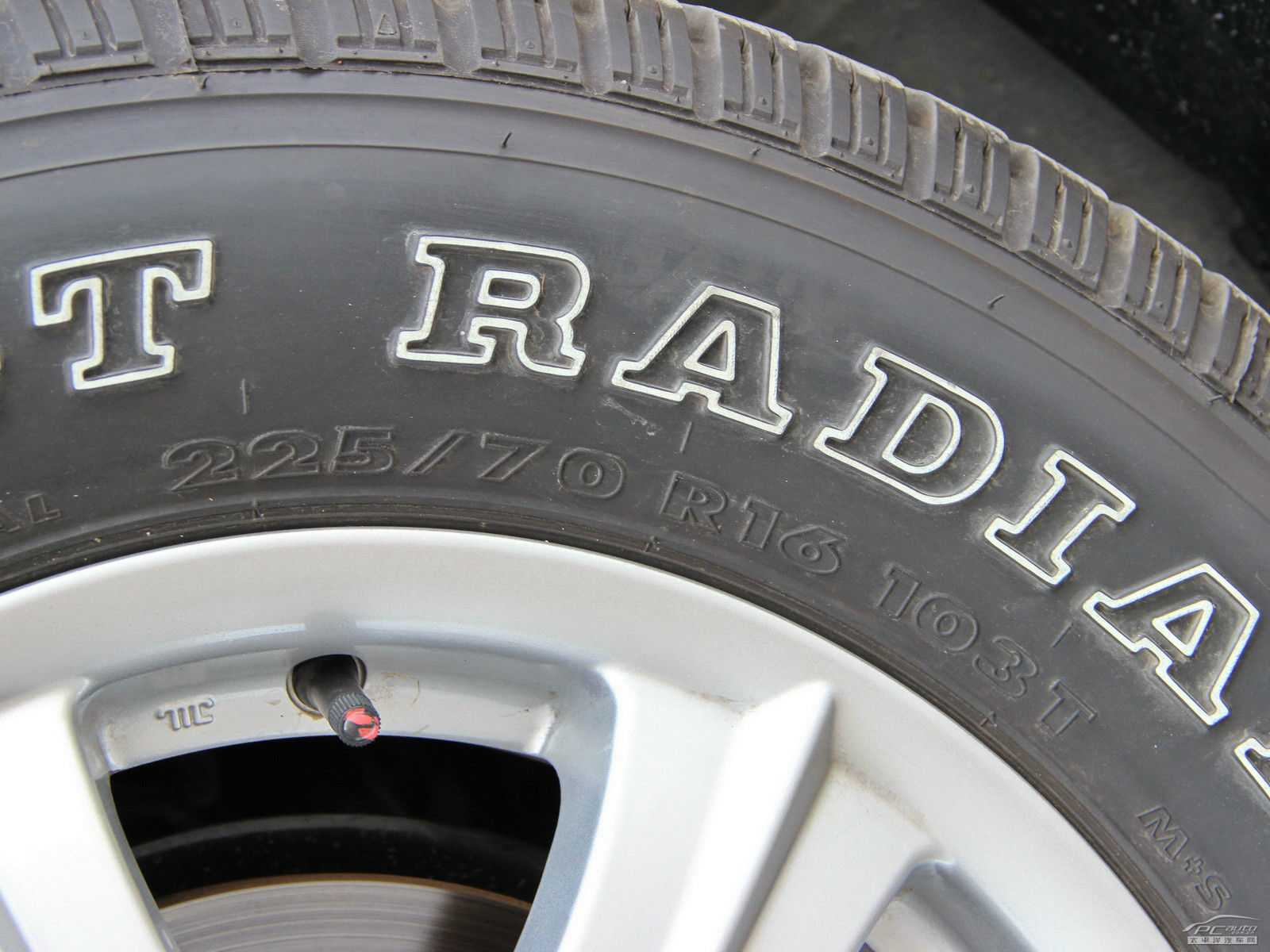 瑞鷹細(xì)節(jié)高清大圖