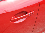 2013 2.0L (bio)(zhn)