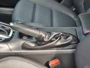 2013 2.0L (bio)(zhn)