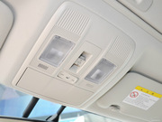 2013 2.0L (bio)(zhn)